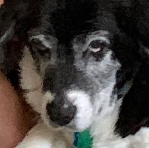 Meet your Posher, Danika